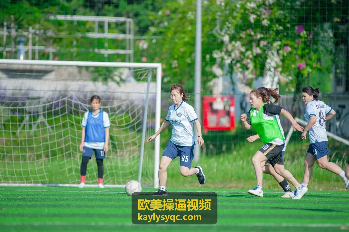 欧美操逼视频电脑浏览建议